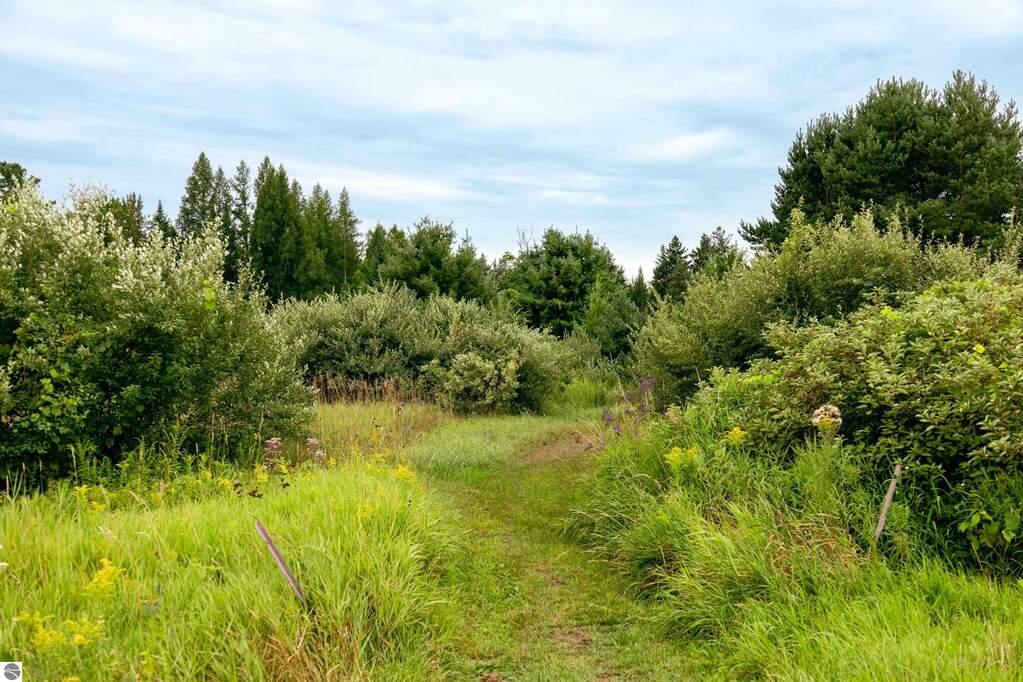 Land/Vacant Land's Image 10