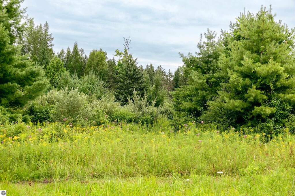 Land/Vacant Land's Image 11