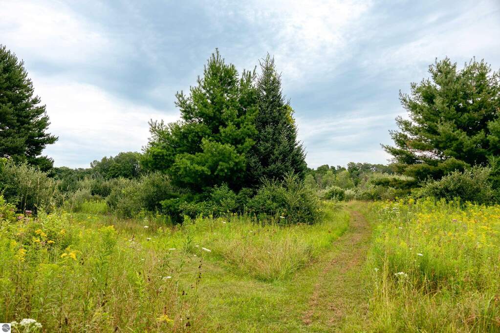 Land/Vacant Land's Image 12