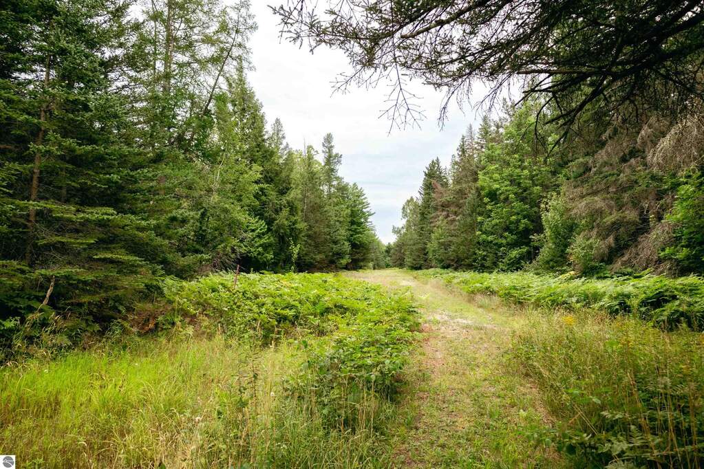 Land/Vacant Land's Image 15