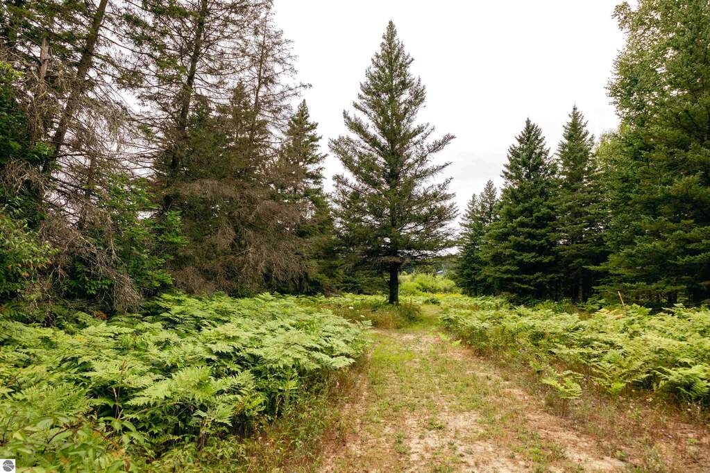 Land/Vacant Land's Image 17