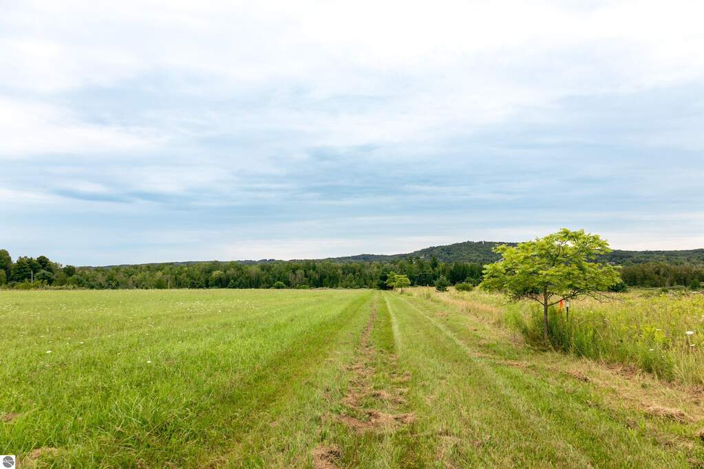 Land/Vacant Land's Image 19