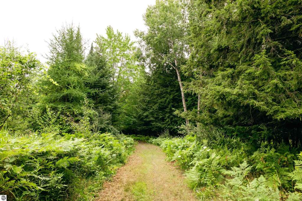 Land/Vacant Land's Image 22
