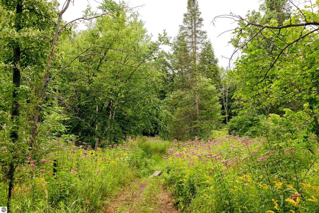 Land/Vacant Land's Image 26