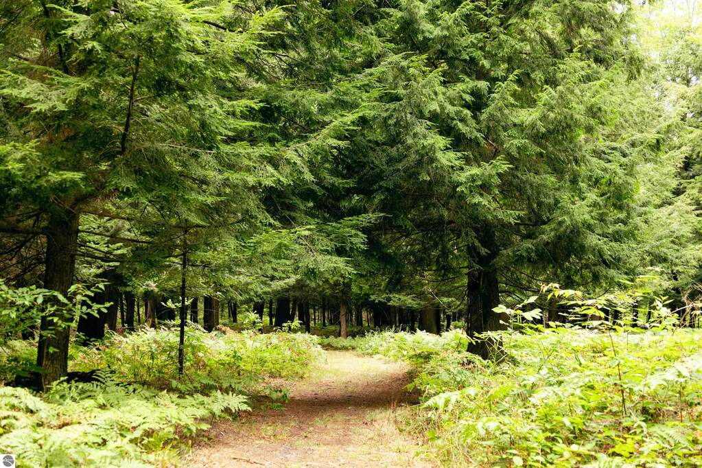Land/Vacant Land's Image 27