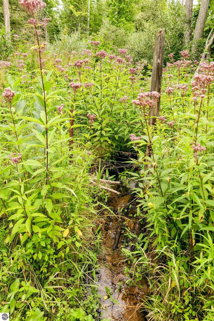 Land/Vacant Land's Image 28