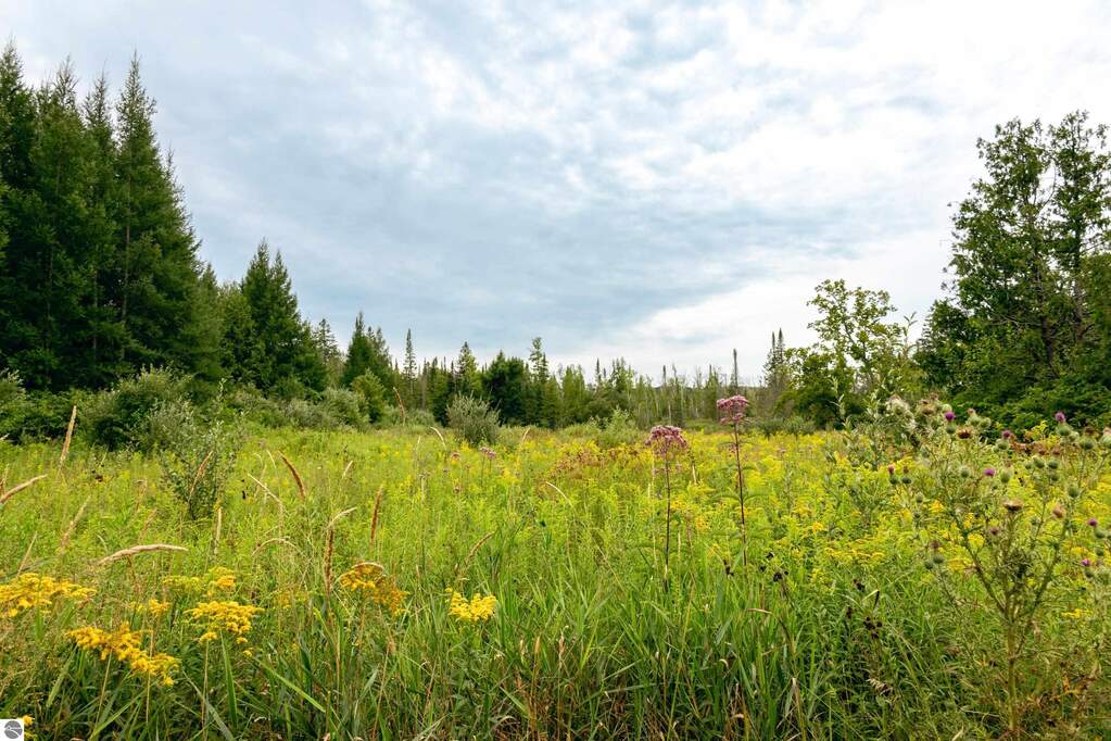Land/Vacant Land's Image 35
