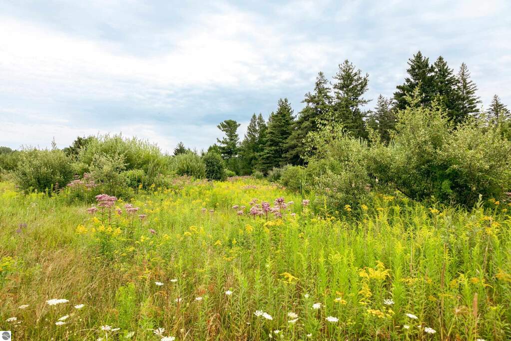 Land/Vacant Land's Image 36