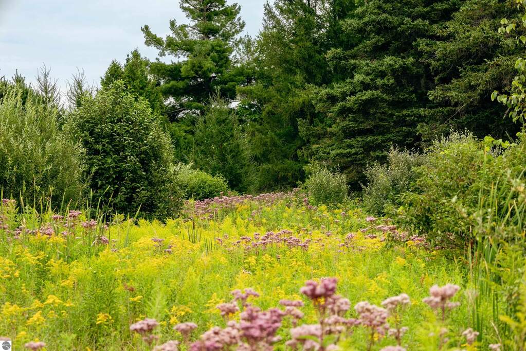 Land/Vacant Land's Image 38