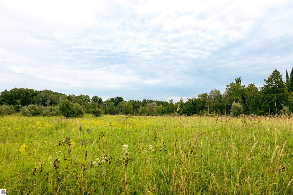 Land/Vacant Land's Image 39