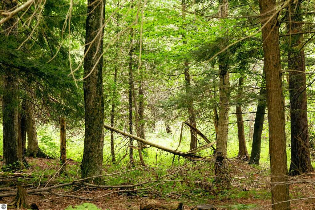 Land/Vacant Land's Image 42