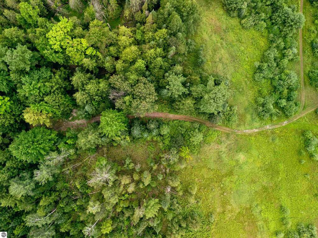 Land/Vacant Land's Image 49