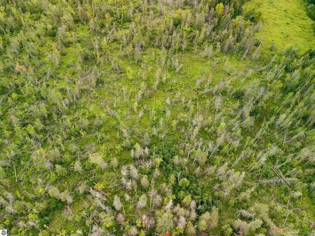 Land/Vacant Land's Image 52