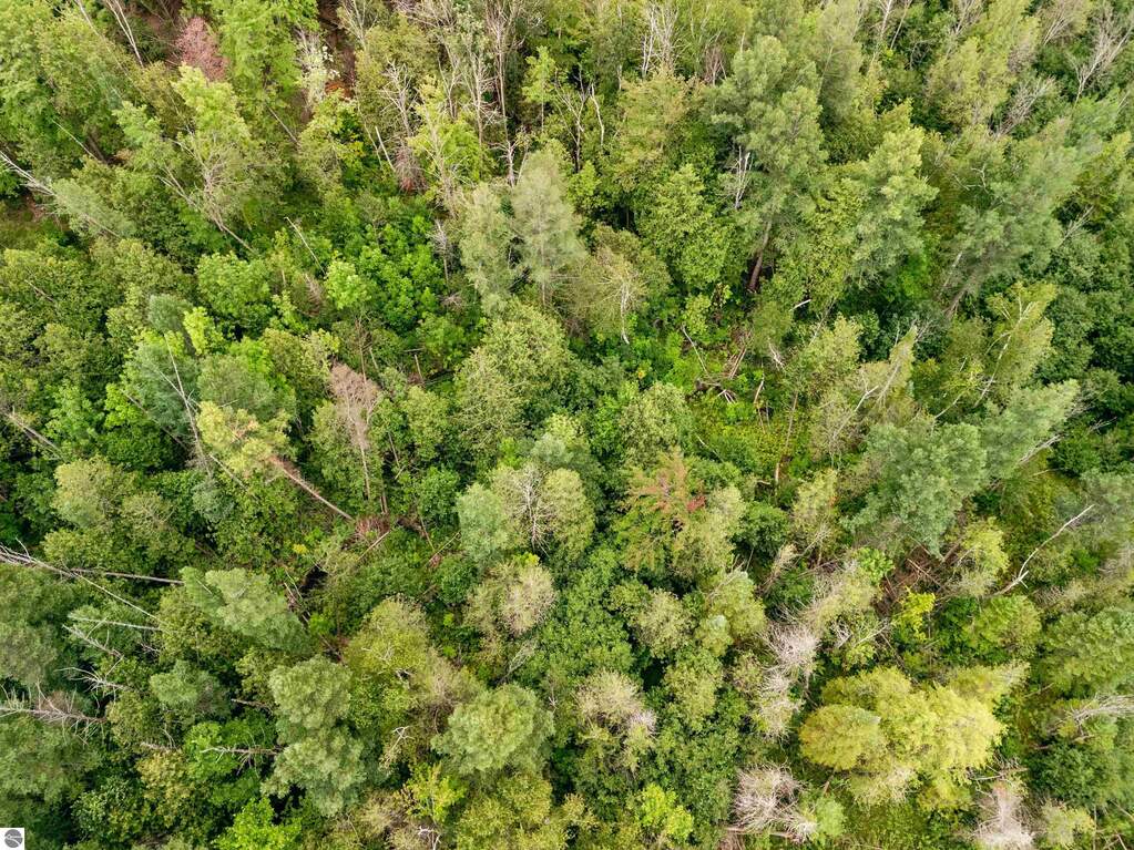 Land/Vacant Land's Image 64