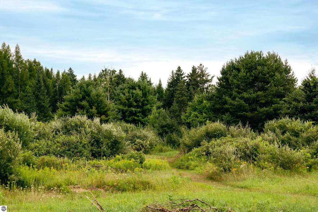 Land/Vacant Land's Image 4
