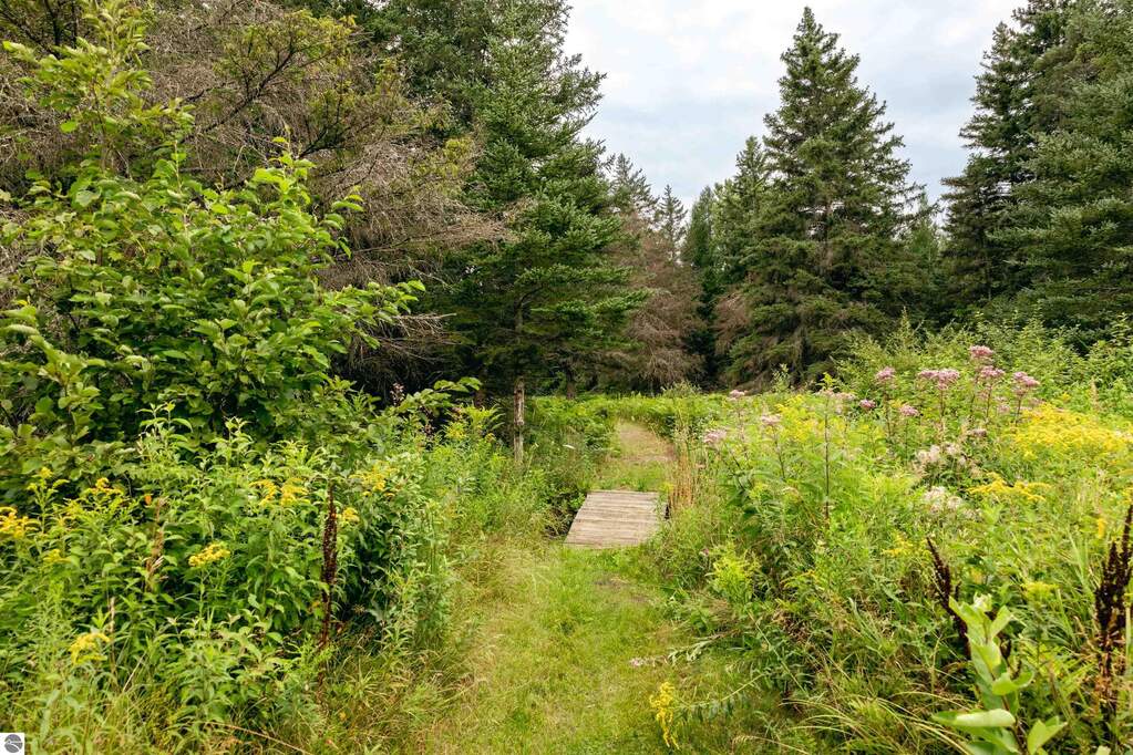 Land/Vacant Land's Image 5