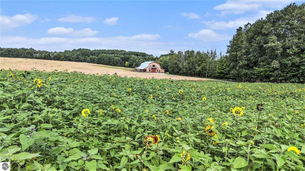 Land/Vacant Land's Image 6