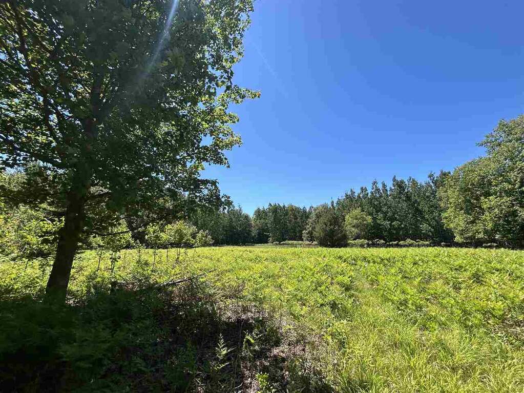 4 Bedroom Farm/Ranch/Plantation's Image 33