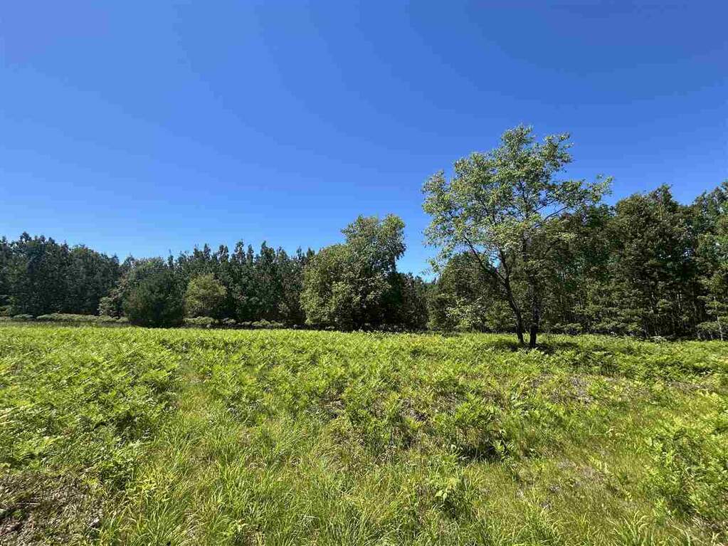 4 Bedroom Farm/Ranch/Plantation's Image 34