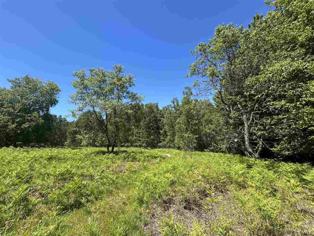 4 Bedroom Farm/Ranch/Plantation's Image 35