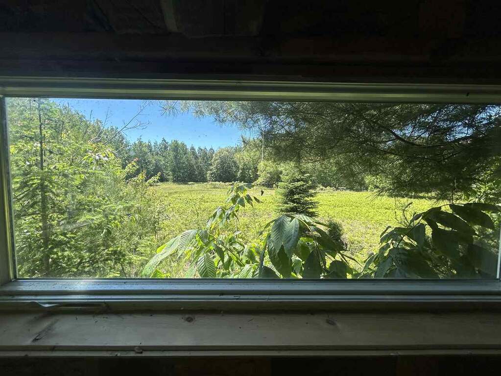 4 Bedroom Farm/Ranch/Plantation's Image 39