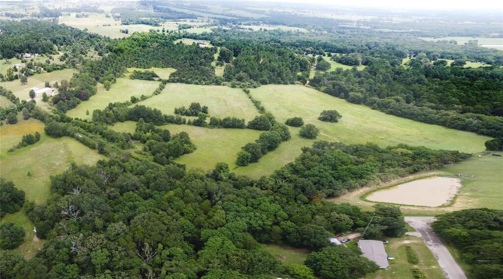 Aerial view of a forest