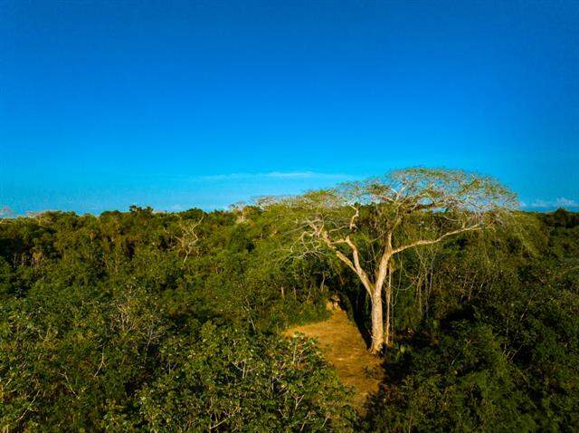 Land/Vacant Land's Image 8
