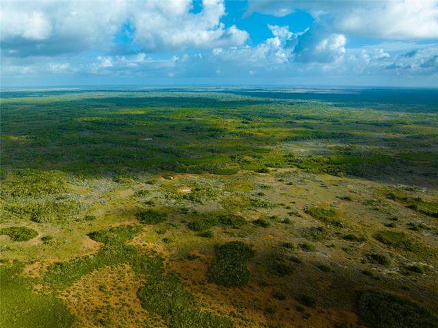 Land/Vacant Land's Image 12