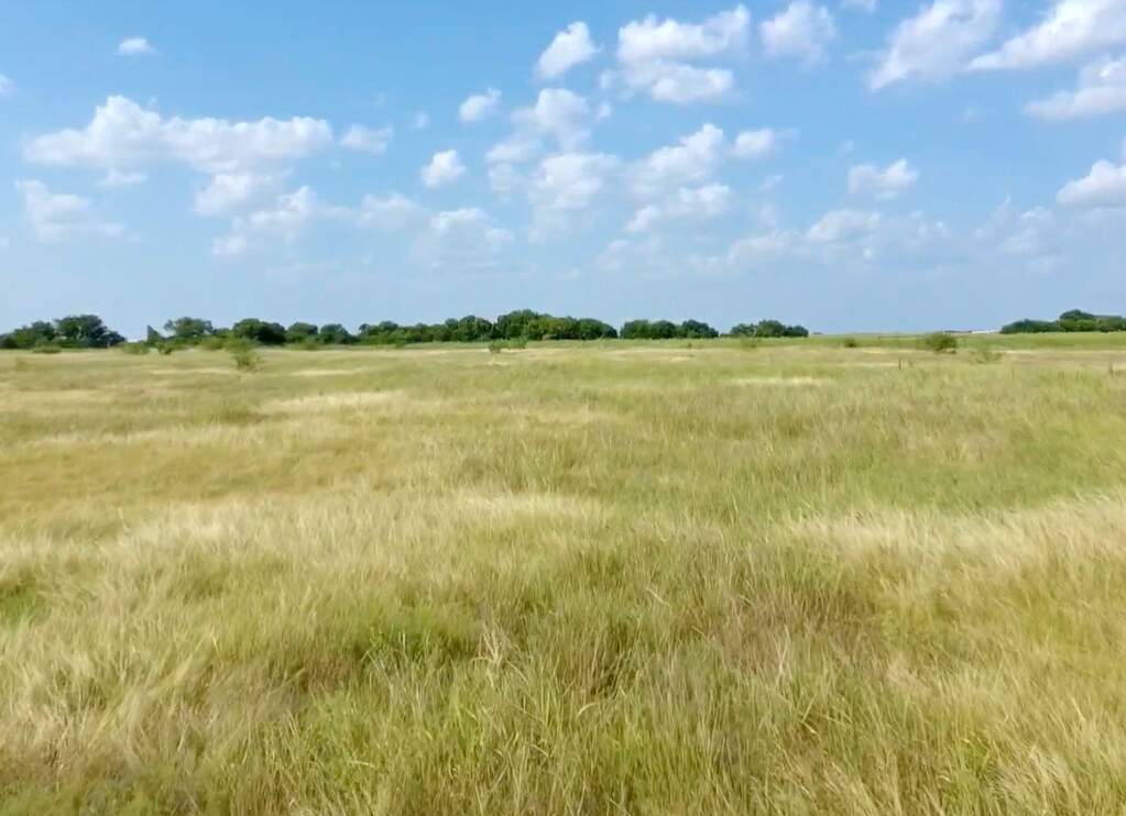 Kaufman