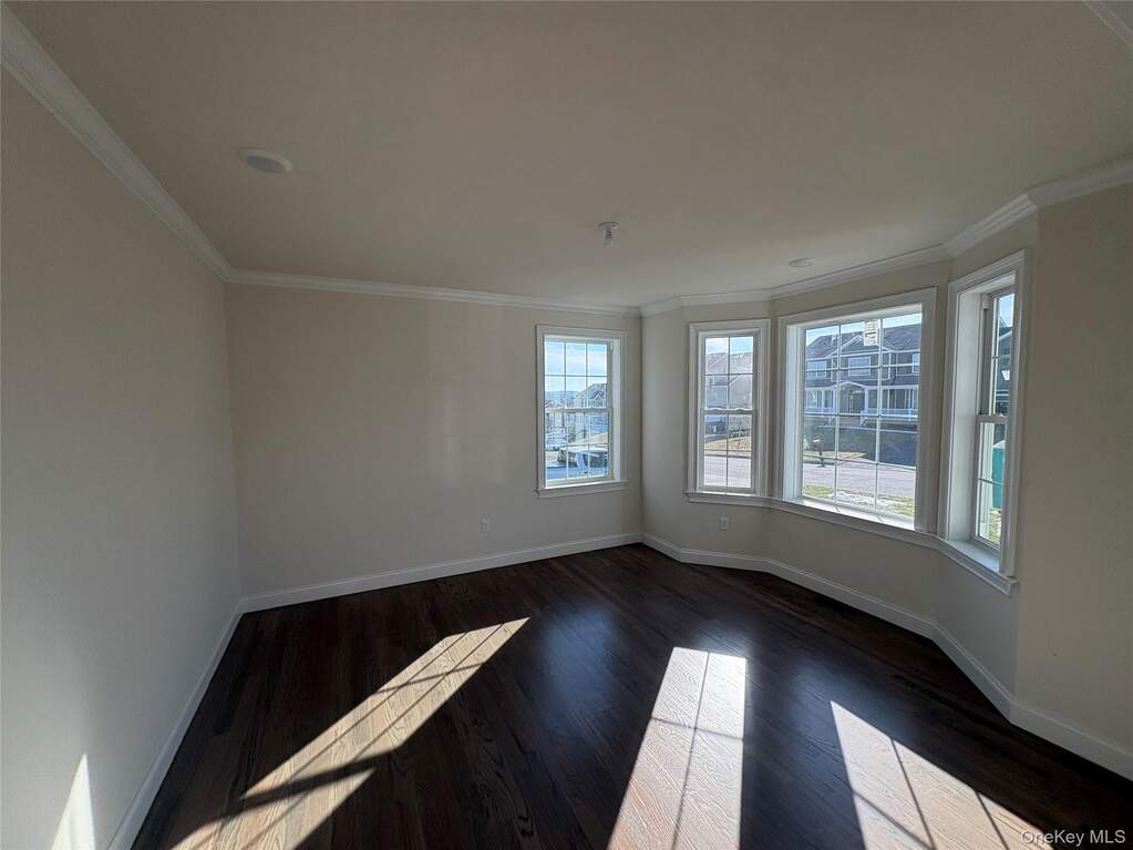 Unfurnished room with crown molding and dark wood finished floors