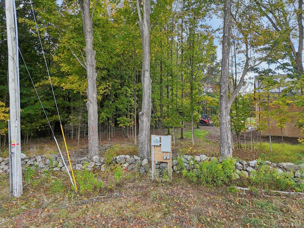 Land/Vacant Land's Image 3