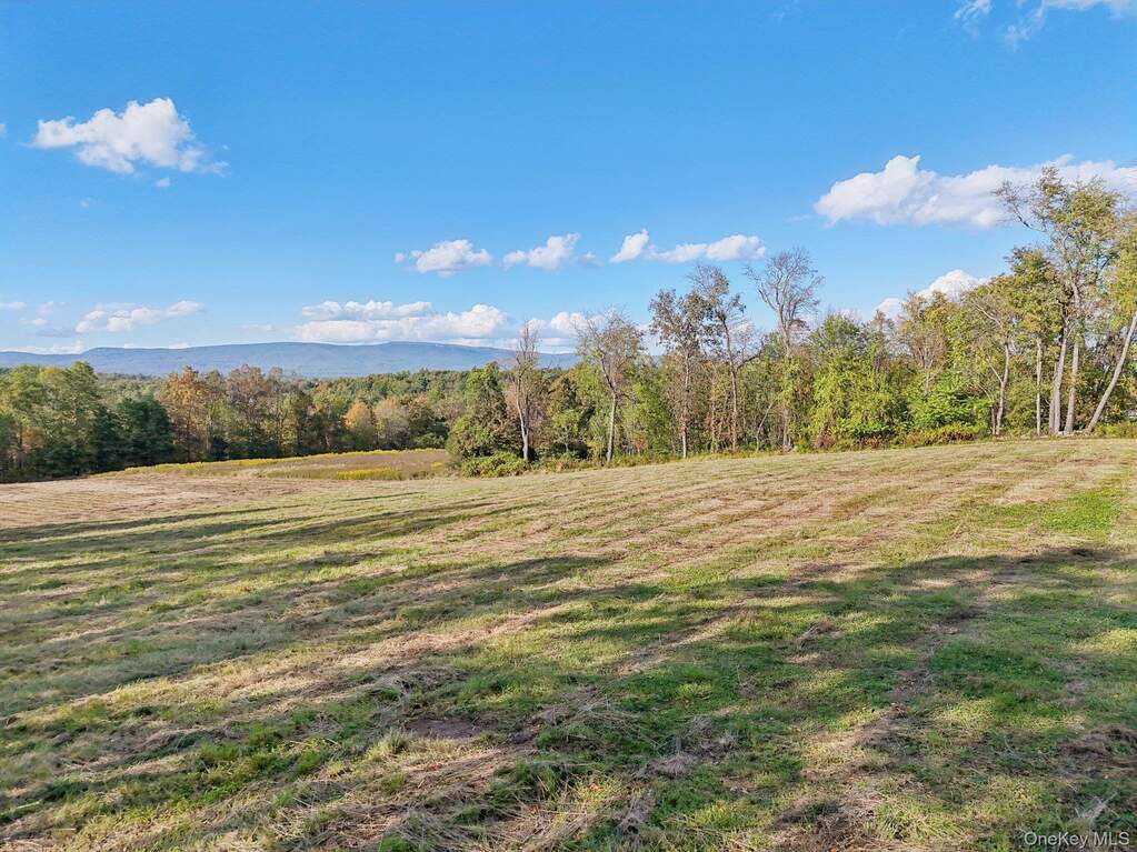 Land/Vacant Land's Image 4