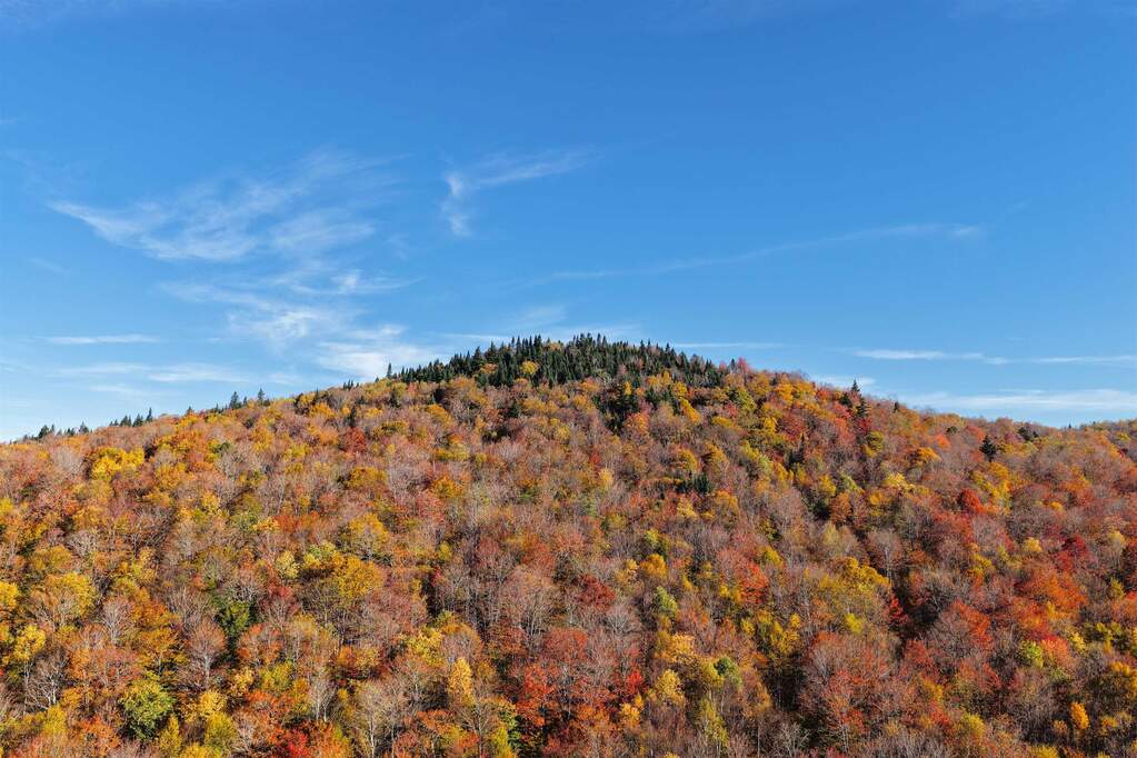Land/Vacant Land's Image 8