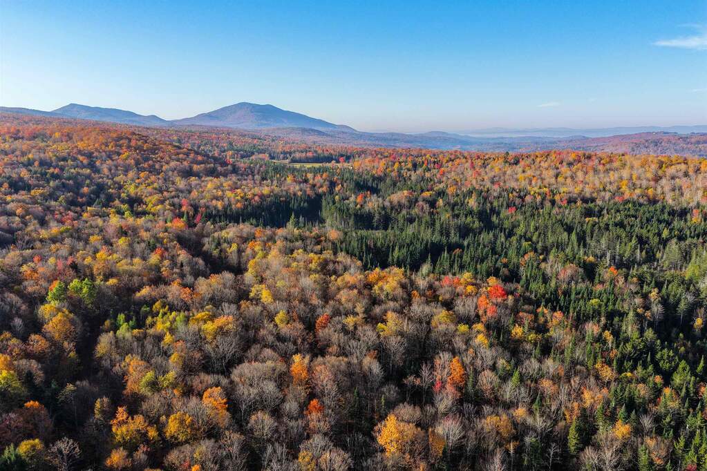 Land/Vacant Land's Image 9