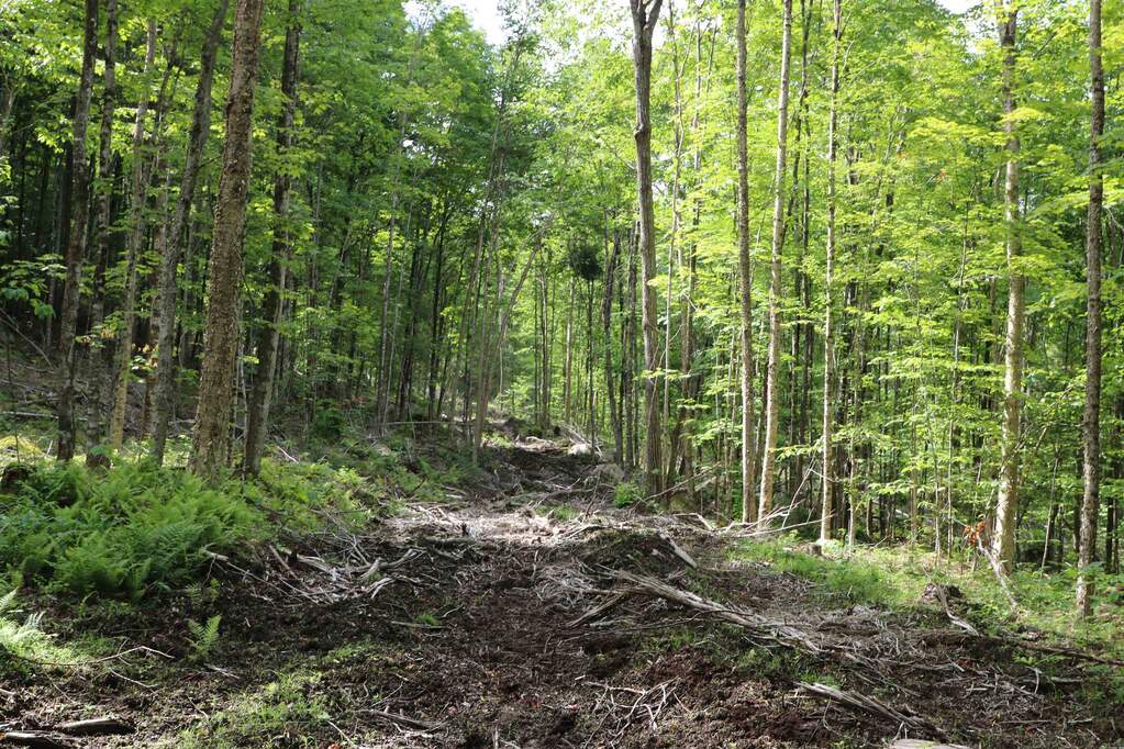 Land/Vacant Land's Image 22