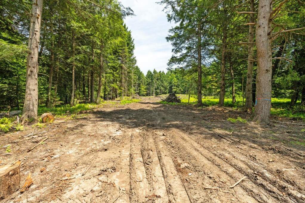 Land/Vacant Land's Image 3