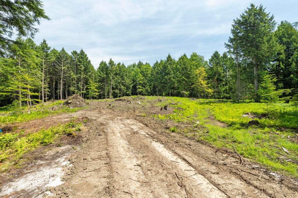 Land/Vacant Land's Image 4