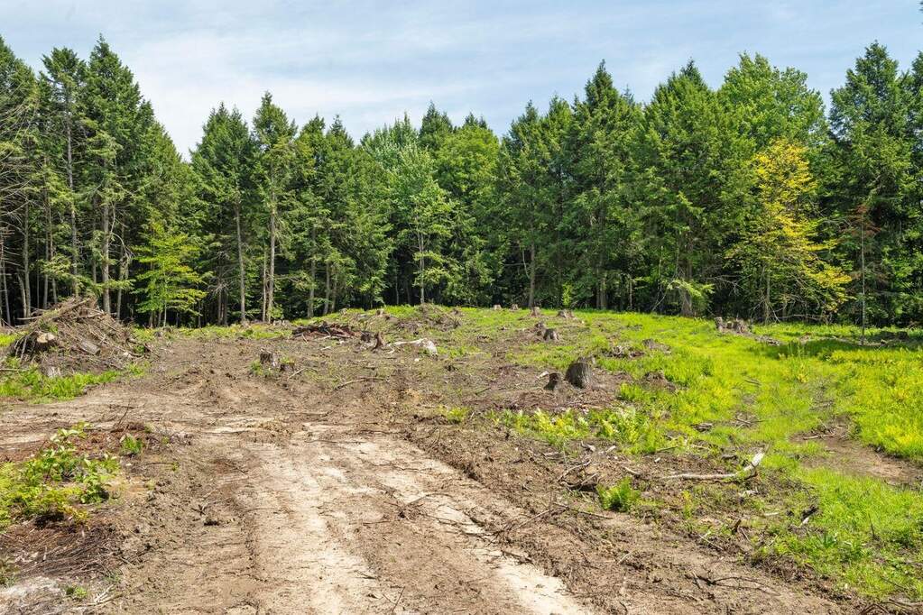 Land/Vacant Land's Image 5