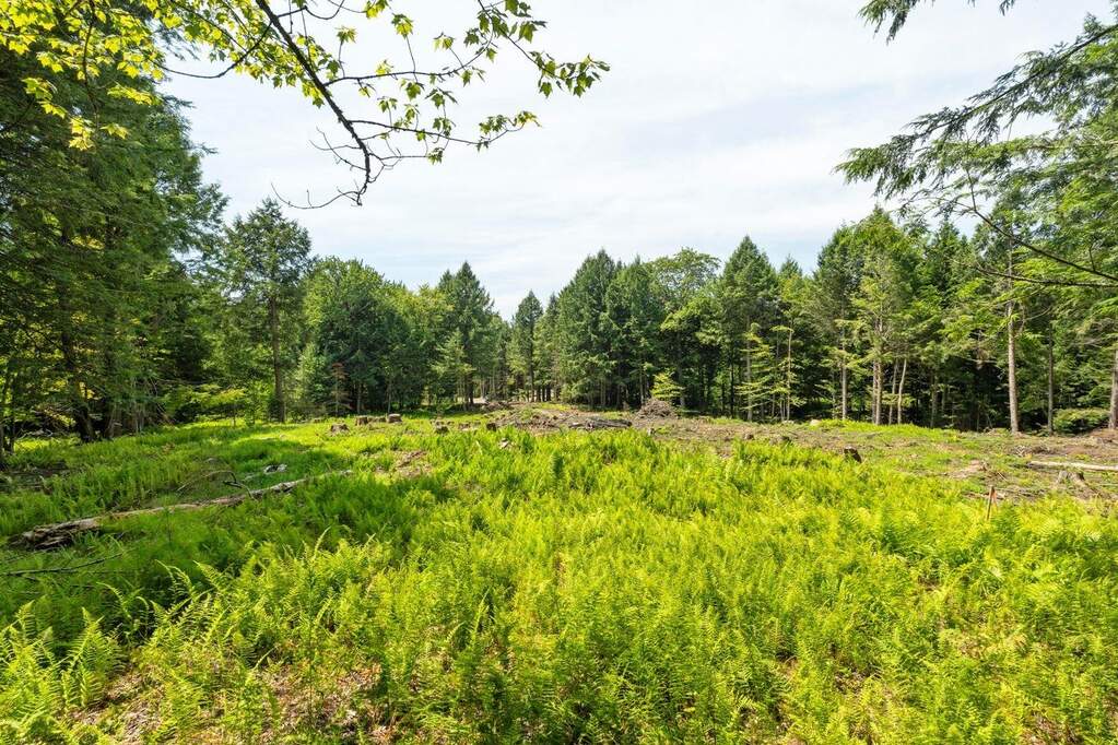 Land/Vacant Land's Image 6