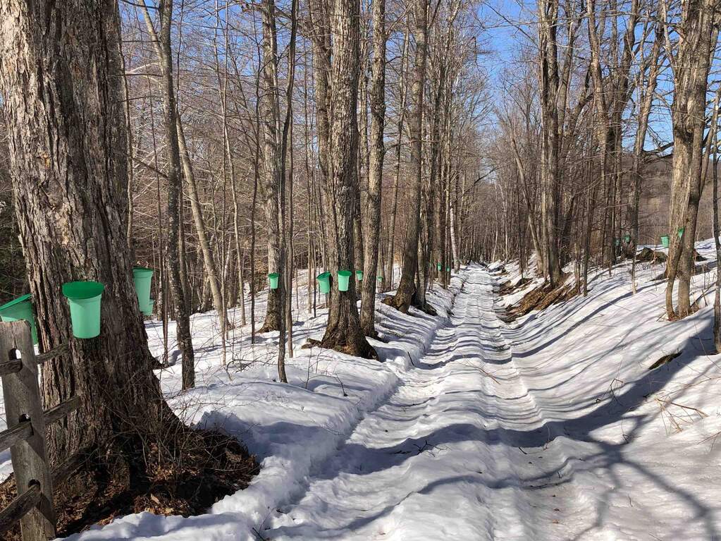 5 Bedroom Single Family Home/House's Image 31