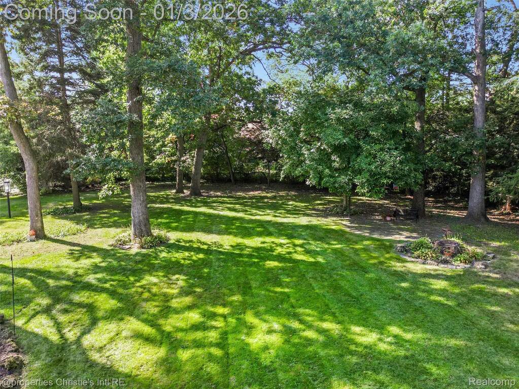 View of grassy yard