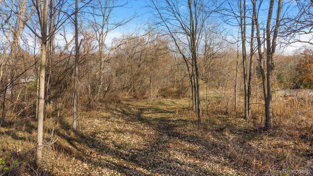 Land/Vacant Land's Image 8