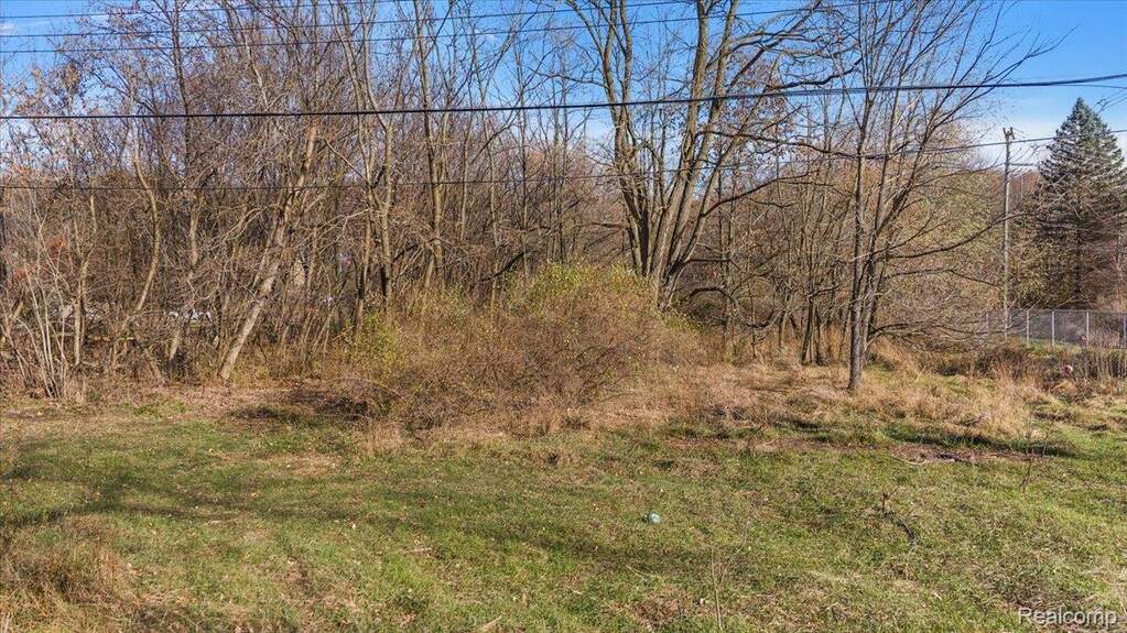 Land/Vacant Land's Image 9