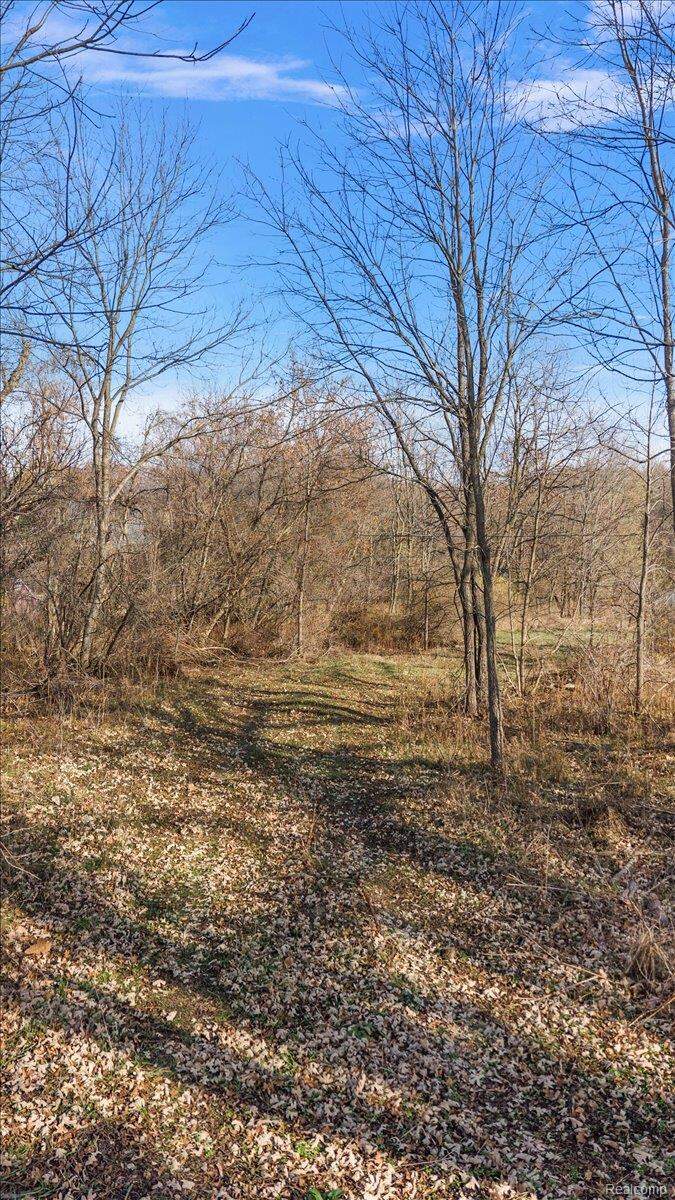 Land/Vacant Land's Image 10