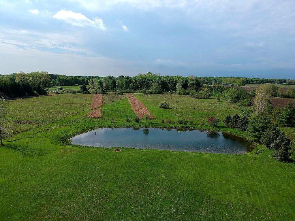 DJI_0290_enhanced
