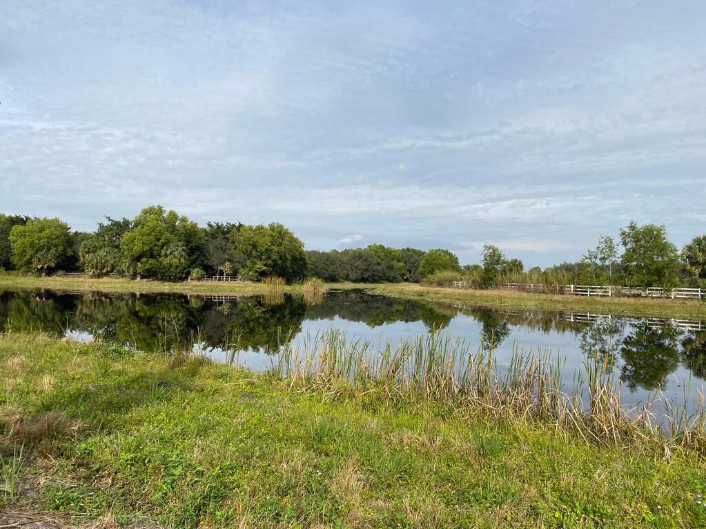 FOX TRAIL - CANAL VIEW 2
