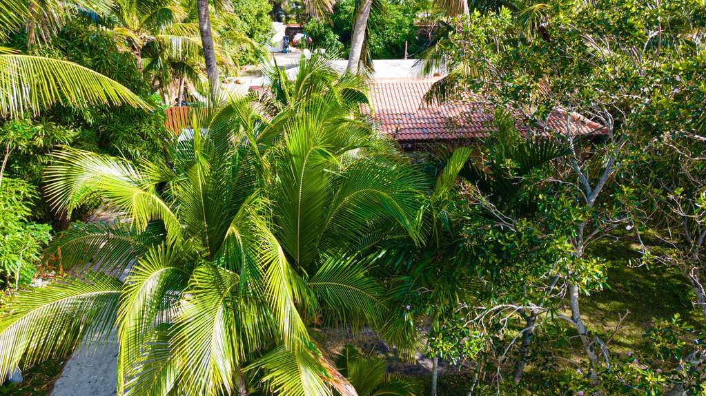 4 Bedroom Single Family Home/House's Image 3