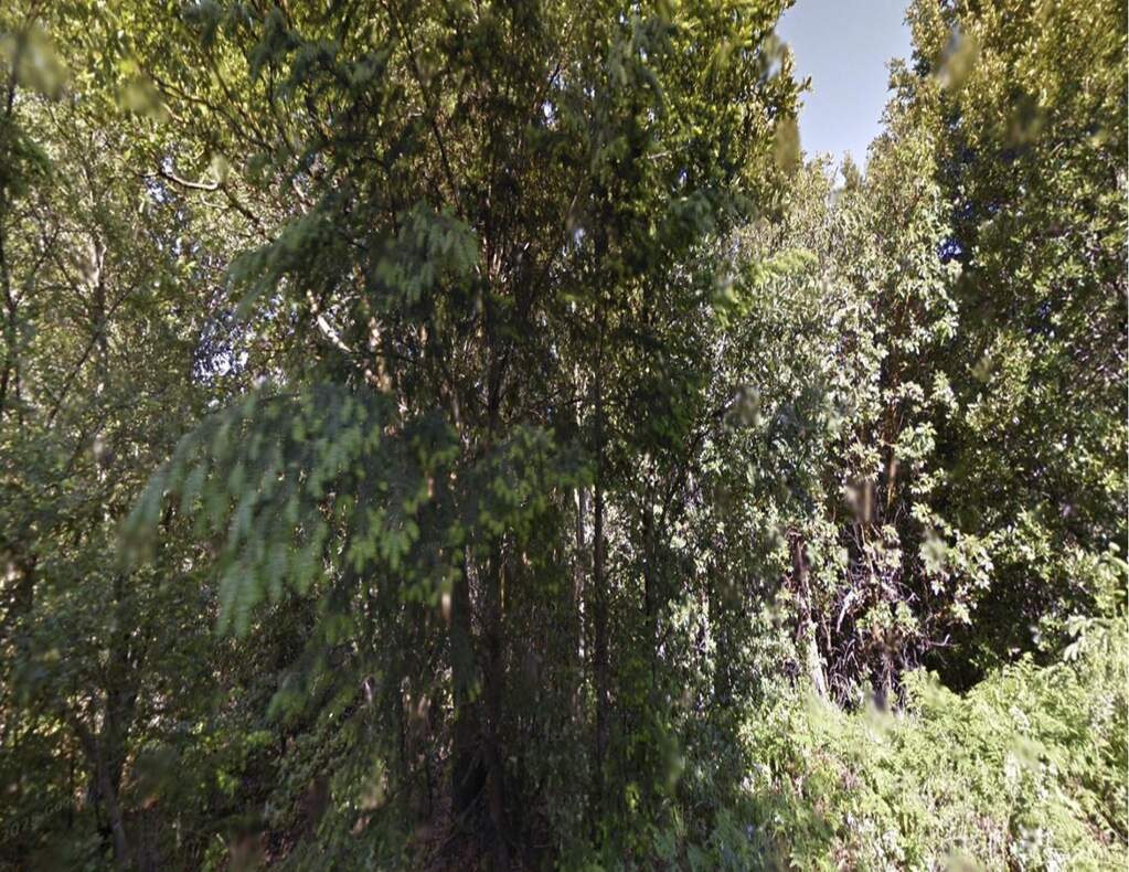 258 Burns Court photo