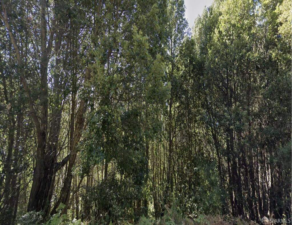 1659 Toth Road photo