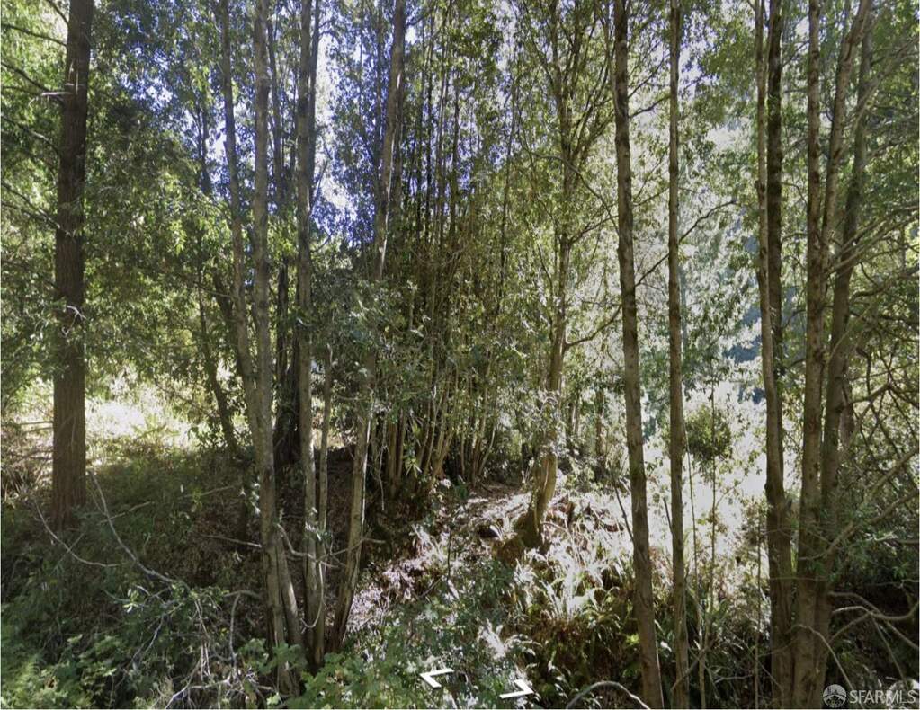 1504 Telegraph Creek Road photo